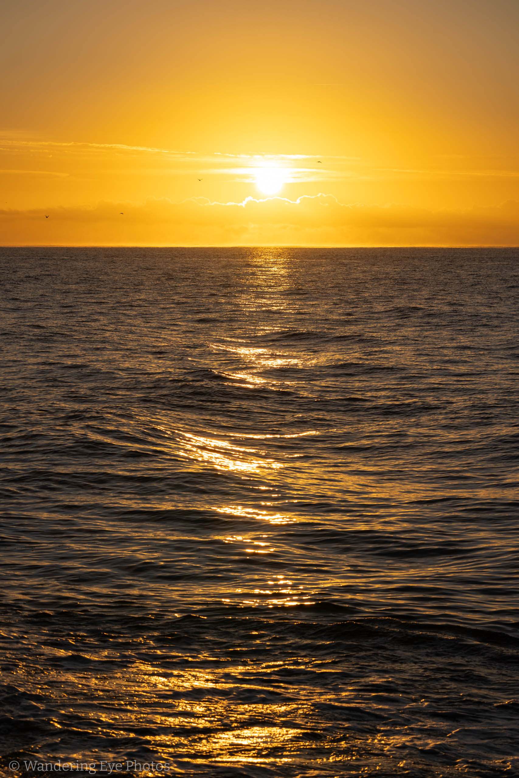 10.18 07.55.02   DSC05433